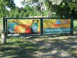 grevengrass-2011-51